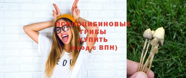 дмт Бронницы