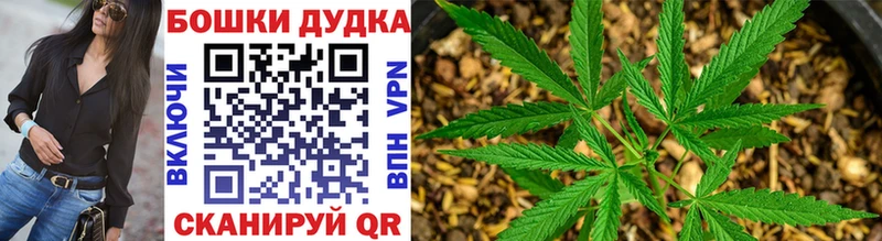 маркетплейс клад  Владивосток  Бошки Шишки марихуана 